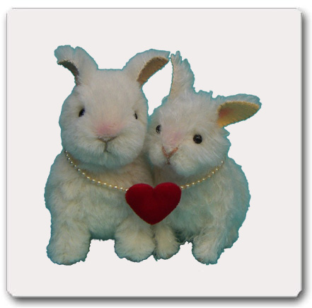 ウサギのカップル